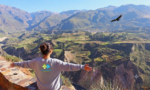 Colca Full Day